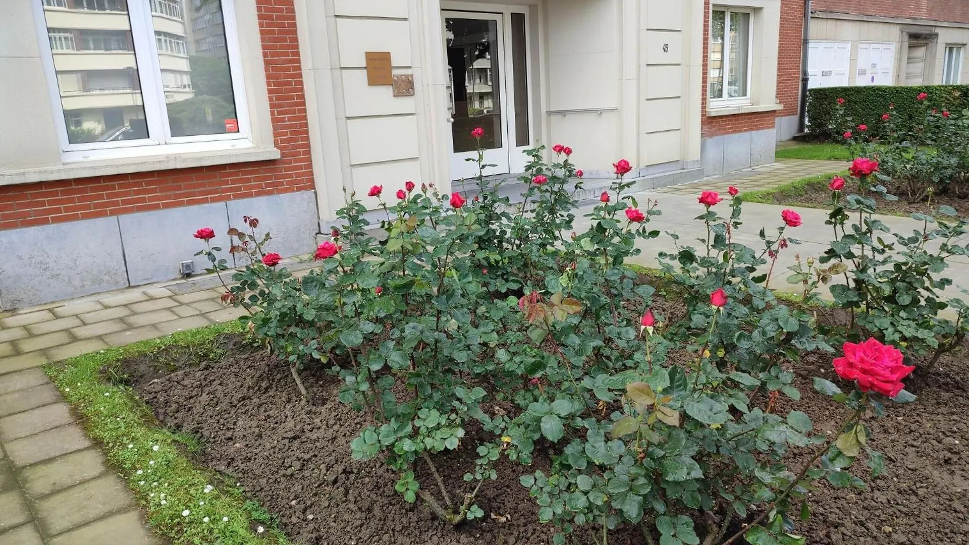 Charming Apartment In Etterbeek 70 M² With Balcony Brussels